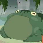 Toad Man