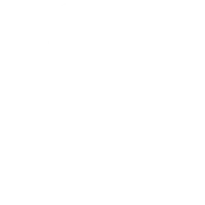 Reverie domain icon