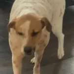 B3rr