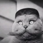 meko11