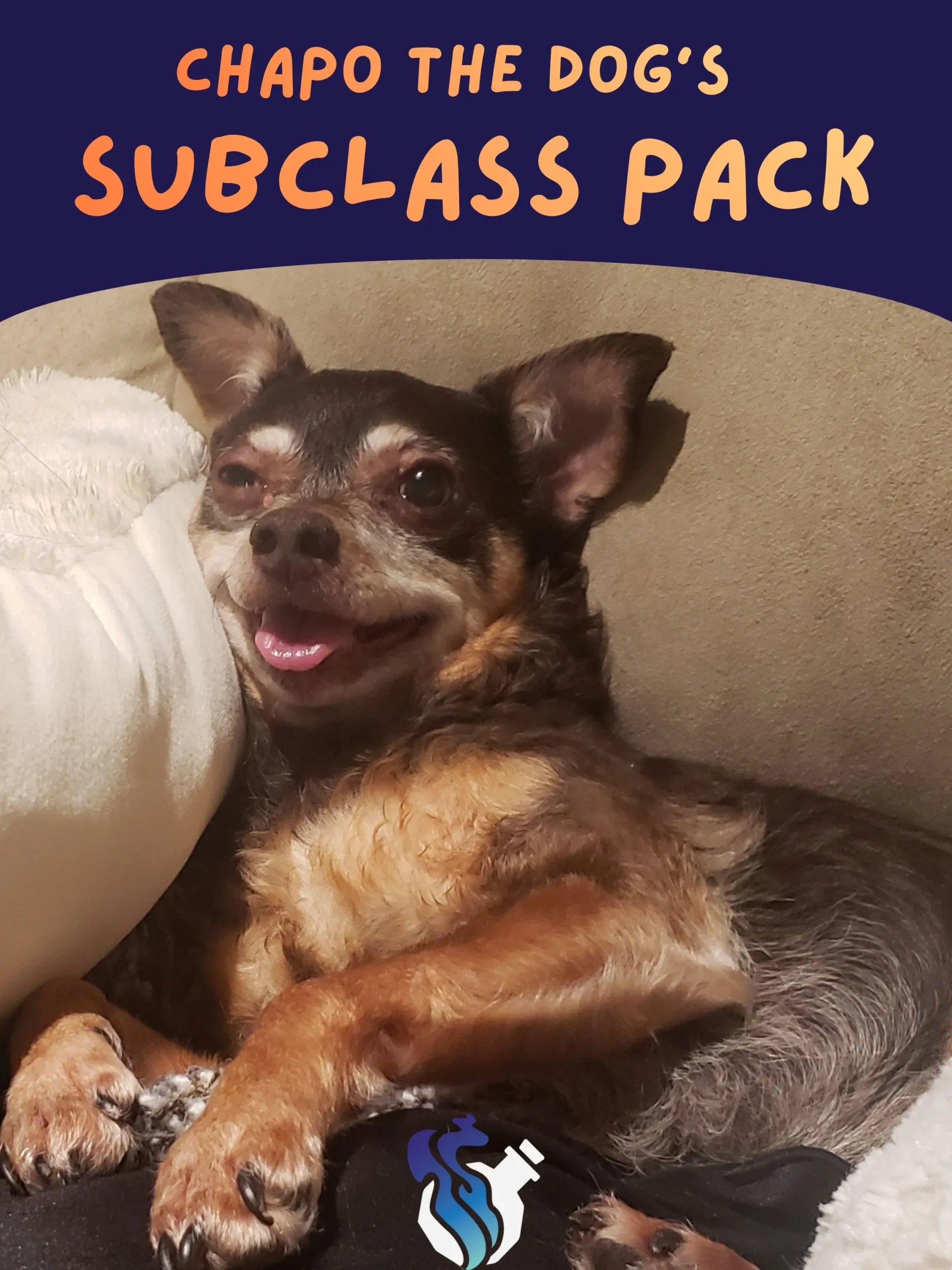 Chapo the Dog’s Subclass Pack