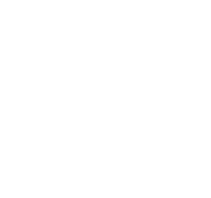 Wealth domain icon