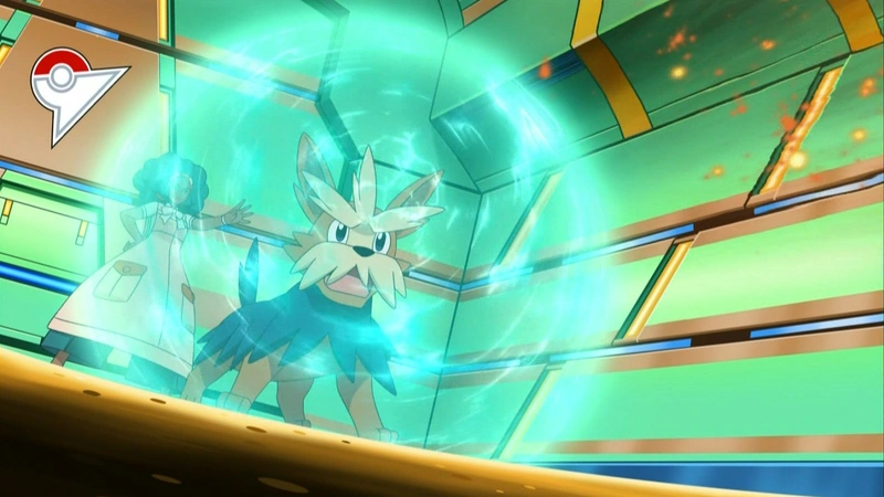 Protect